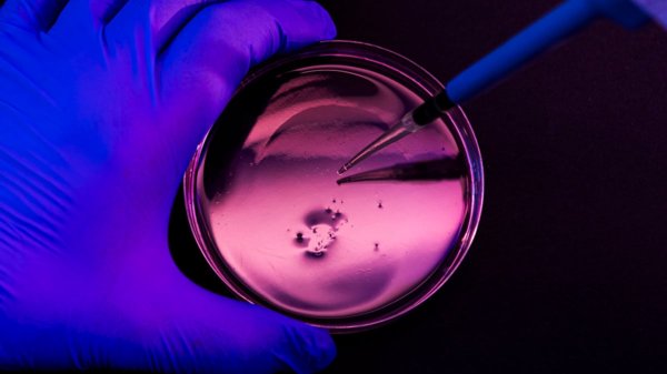Global Health Threat: Carbapenem Resistance Genes Found in Hospital Pathogens | Quick Digest