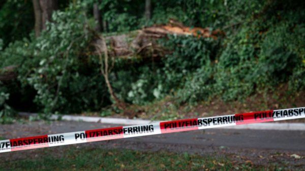 Thüringen: Vater auf dem Weg zur Kita von Baum erschlagen