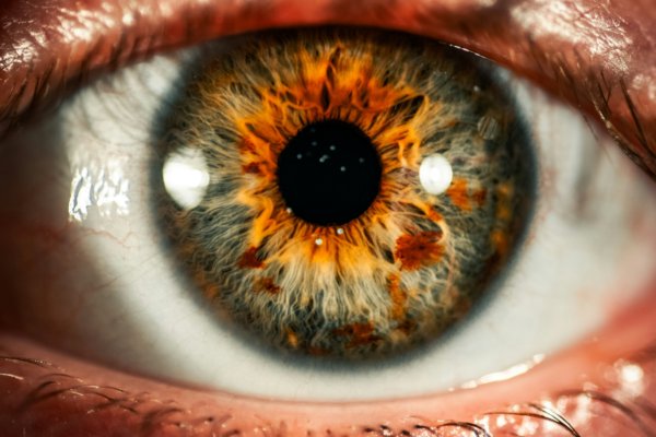 The Science Behind the âLife Flashing Before Your Eyesâ Phenomenon