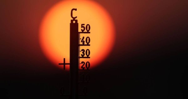 Extremsommer in Deutschland: Nicht nachlassen beim Klimaschutz