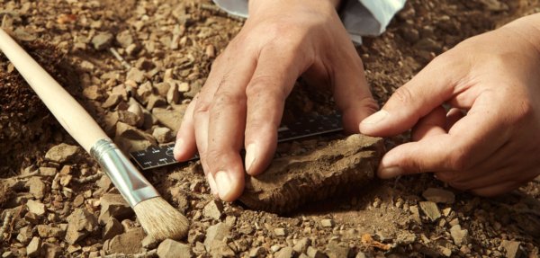ArchÃ¤ologie: Bayerische Forscher entdecken extrem seltene Spuren aus der Eiszeit